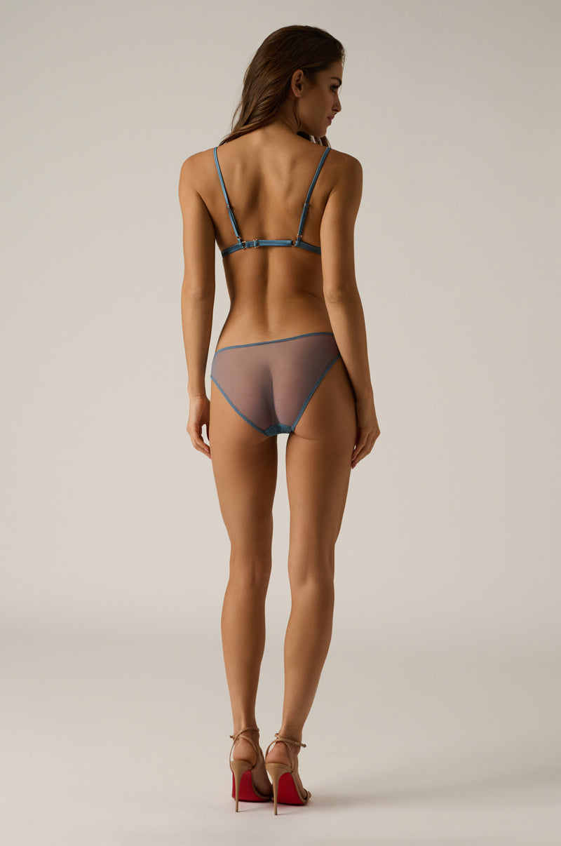 French lace sheer stripe bikini panty back view