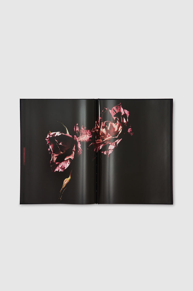 Visionaire, 40 Roses