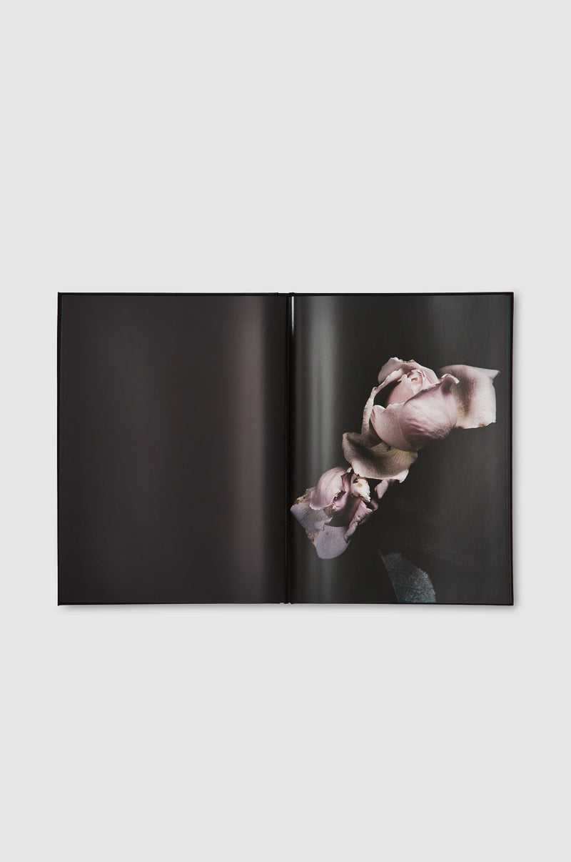 Visionaire, 40 Roses